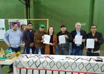Comunidades indígenas da RID aprovam parceria com a Embrapa para diagnóstico participativo