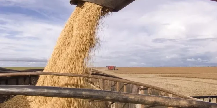 Fazenda de soja mais produtiva do Brasil na safra 2024/25 é de Santa Catarina
