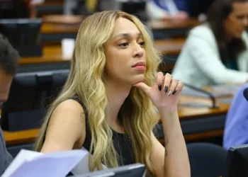 Deputada Erika Hilton (PSOL - SP). Imagem: Vinicius Loures/Câmara dos Deputados