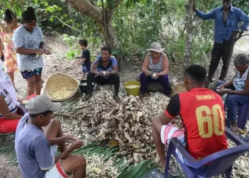 O programa Terras para Elas prevê a emissão de 2.500 títulos nesta etapa inicial — Foto: Handson Chagas