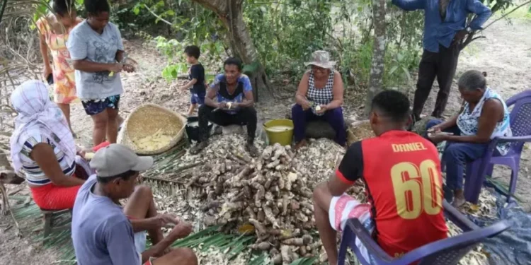 Maranhão realiza entrega de títulos de terra para mulheres e quilombolas