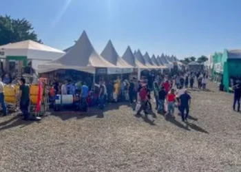 Visitantes da Hortitec puderam conferir novidades com cerca de 520 expositores — Foto: Divulgação