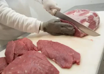 JBS tem frigorifico habilitado para exportar ao Vietnã — Foto: Wenderson Araujo/CNA