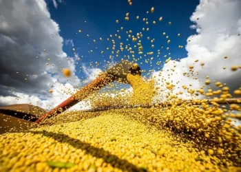 Agropecuária respondeu por 7,74% do PIB do Brasil no primeiro trimestre — Foto: Wenderson Araujo/CNA