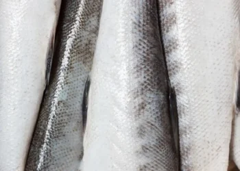 O uso de pele de peixe para tratamento de infecções e queimaduras é uma novidade na medicina  • amstockphoto/GettyImages