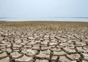 Seca na cidade de Tefé, no interior do Amazonas. • Miguel Monteiro/ Instituto Mamirauá