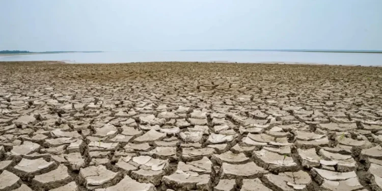 Brasil registra quase 500 municípios em seca severa ou extrema