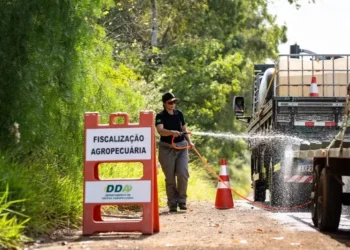 Recursos serão utilizados para combater quatro emergências sanitárias que estão em curso, dentre elas a da gripe aviária — Foto: Marcelo Curia