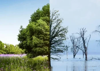 Vestibulandos devem estudar as questões ambientais com profundidade para ter um bom desempenho na prova • Freepik