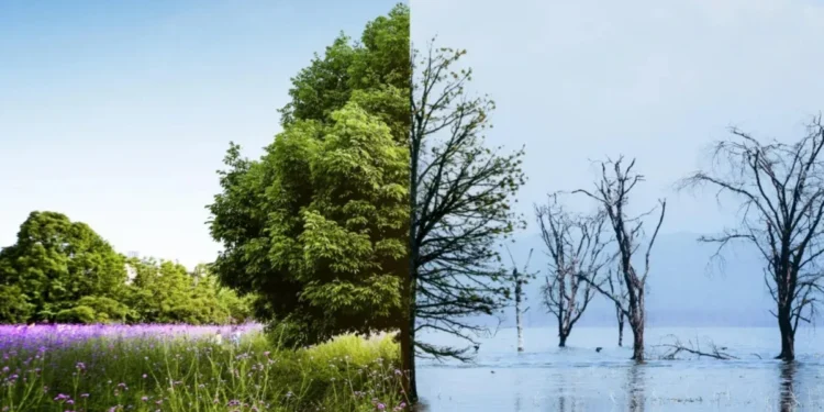 Como os eventos climáticos podem cair nos próximos vestibulares?