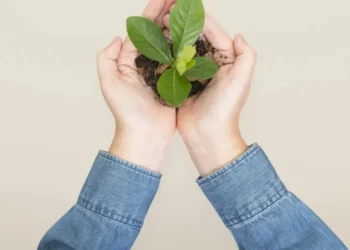 Relações ecológicas e impactos ambientais têm ganhado cada vez mais espaço nos exames de acesso ao ensino superior • Freepik