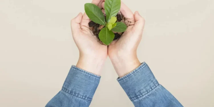 Dia Mundial do Meio Ambiente: veja os temas mais cobrados nos vestibulares