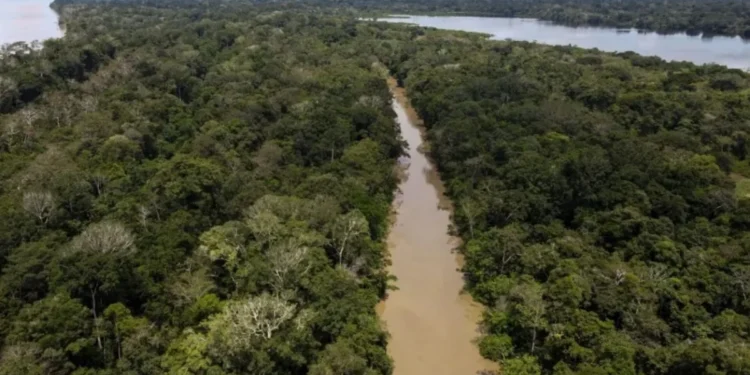 Na saúde digital, a expectativa é que sejam atendidas diariamente mais de 6.700 pessoas  • Juancho Torres/Anadolu Agency via Getty Images
