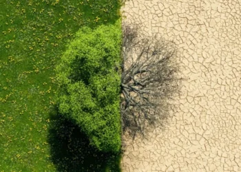 Mudança climática • AntonioSolano/Getty Images