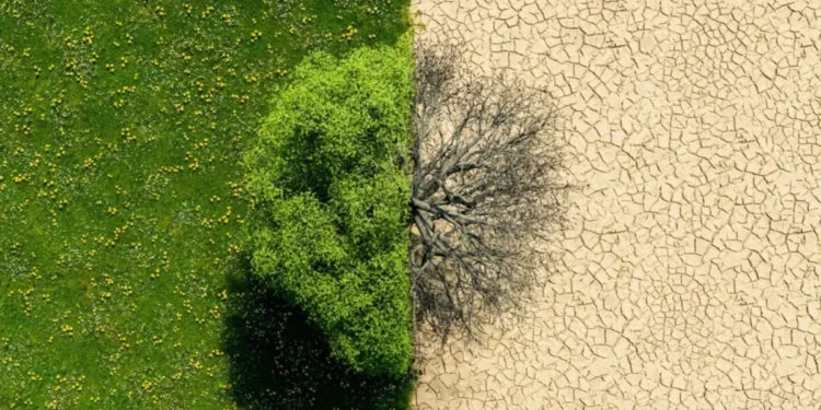 Mudança climática • AntonioSolano/Getty Images