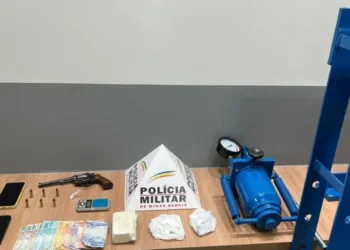 O material foi apreendido e encaminhado à delegacia da Polícia Civil - crédito: Divulgação/PMMG