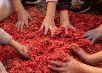 Pessoas preparam tapete de flores de Corpus Christi em Santana de Parnaíba, no interior de SP • ESTADÃO CONTEÚDO