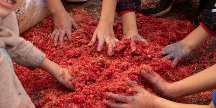 Turismo paulista deve faturar R$ 5,9 bilhões no feriado de Corpus Christi