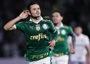 Palmeiras (Brasil) • Divulgação/Palmeiras