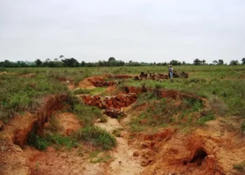 Converter uma pastagem degradada em lavoura leva tempo e custa uma 'fortuna' — Foto: Alexander Silva de Resende / Embrapa