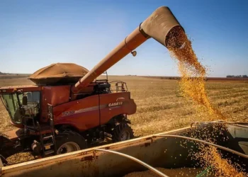 Área a ser colhida para a safra de 2025 ficou em 81,2 milhões de hectares, um aumento de 2,7% frente a 2024 — Foto: Wenderson Araujo/CNA