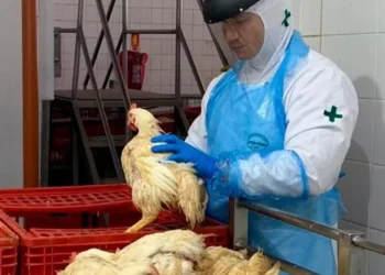 A norma trata, principalmente, do processo administrativo de fiscalização e da aplicação de multas a empresas privadas — Foto: Anffa Sindical/Divulgação