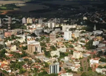 Considerada o 'berço da soja', Santa Rosa (RS) vai sediar o Semear Agro Hub — Foto: Câmara Municipal de Santa Rosa/Divulgação