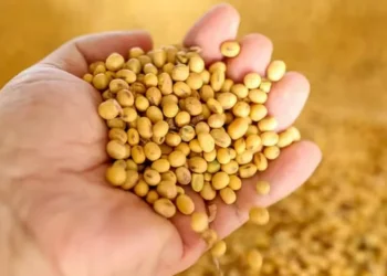 Recuo no Brasil foi limitado pela alta na cotação internacional, influenciada pelo petróleo — Foto: Gustavo Mansur/ Secom-RS