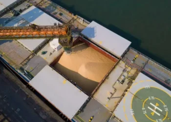 Complexo soja está entre os segmentos na pauta de exportações do agro brasileiro tanto para o Irã quanto para Israel — Foto: Divulgação porto de Santos