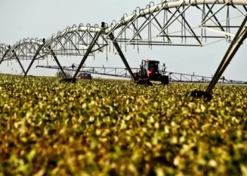 Entidade defende que os irrigantes tenham acesso ao mercado livre de energia — Foto: Getty Images