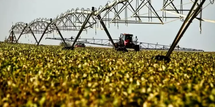 Produtores que usam irrigação defendem mudanças em MP do setor elétrico