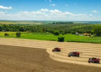 Ainda indefinido, Plano Safra pode ser lançado na próxima semana