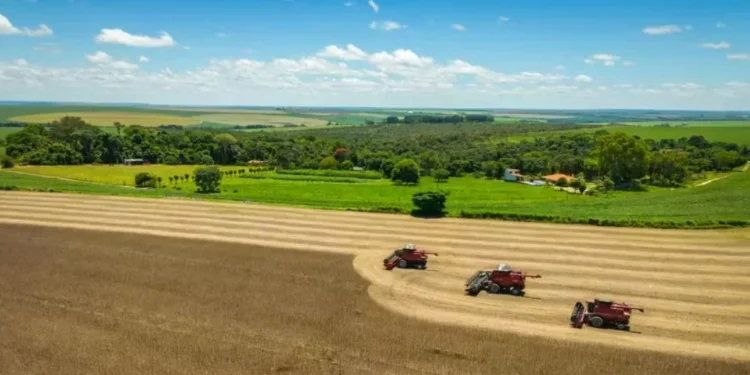 Ainda indefinido, Plano Safra pode ser lançado na próxima semana
