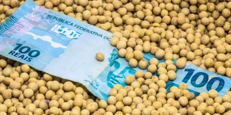 Com orçamento apertado, governo tenta ajustar Plano Safra 25/26