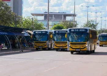 Transporte coletivo de Palmas: conheça as linhas e regras de integração