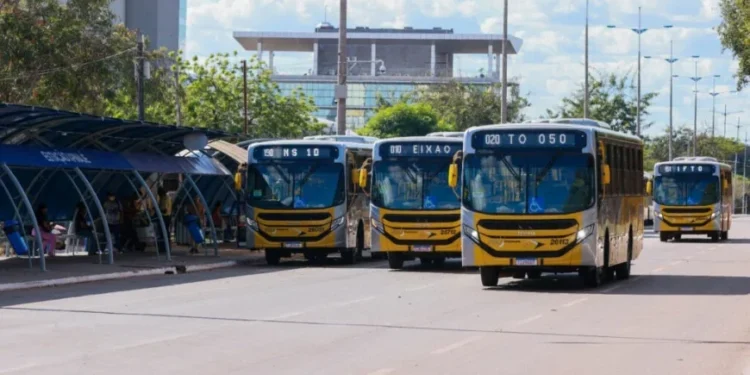 Transporte coletivo de Palmas: conheça as linhas e regras de integração