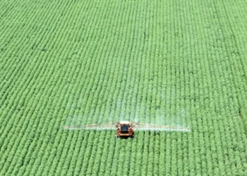 Lavoura de soja em Primavera do Leste (MT) • Paulo Whitaker/Reuters