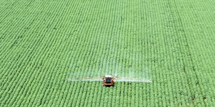Sem aviso prévio, governo corta seguro rural e tensiona relação com o agro