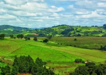 Ações tentam limitar emissão de carbono — Foto: Getty Images