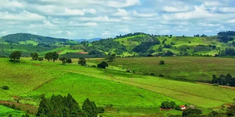 Orçamento de carbono está perto do fim, afirma estudo