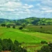 Orçamento de carbono está perto do fim, afirma estudo