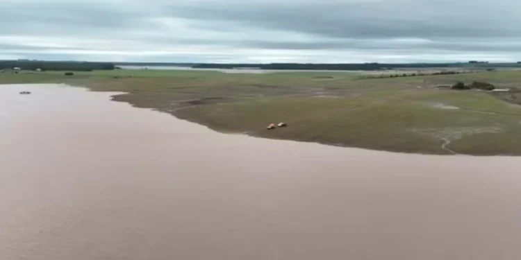 Área de trigo submersa em Santo Antônio das Missões na divisa com São Borja, no Rio Grande do Sul — Foto: Robson Scherer/Arquivo pessoal
