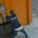 TJMG abre investigação contra juiz que soltou homem que quebrou relógio