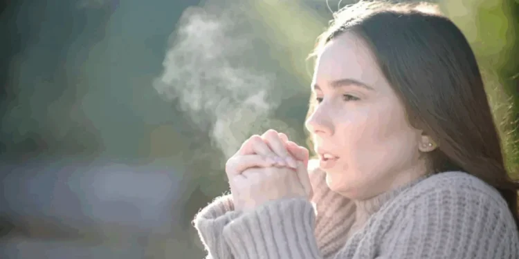 Por que o inverno de 2025 deve ser mais frio que o de anos anteriores