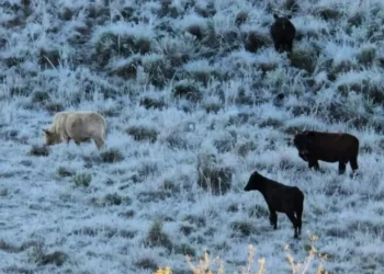 Frente fria deve derrubar as temperaturas na Região Sul • Reprodução