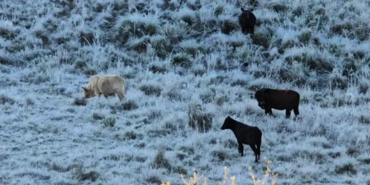 Veja a previsão do tempo para os primeiros dias de inverno