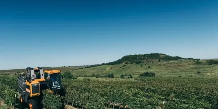 Vinícola adota manejo 100% livre de herbicidas em vinhedos