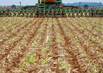 Vazio sanitário da soja começa em 27 de junho em Goiás