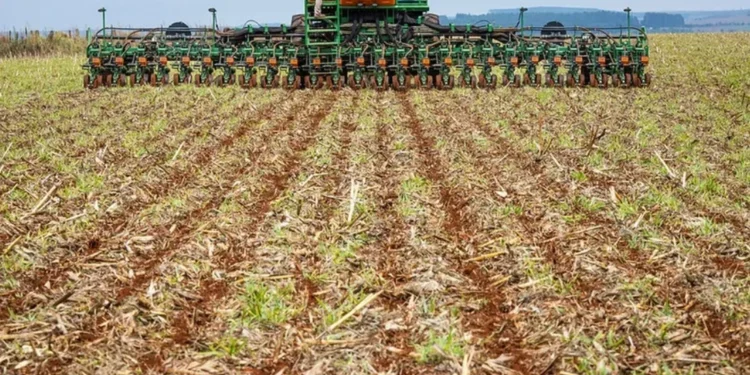 A medida fitossanitária é adotada para prevenir e controlar a ferrugem asiática — Foto: Wenderson Araujo/CNA