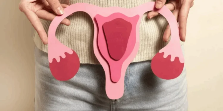 HPV: 80% das mulheres terão contato com o vírus, mas assunto segue tabu